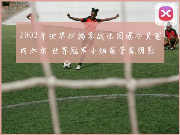 2002年世界杯揭幕战法国爆冷负塞内加尔 世界冠军小组前景蒙阴影