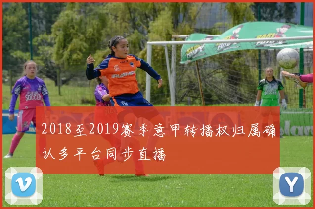 2018至2019赛季意甲转播权归属确认多平台同步直播